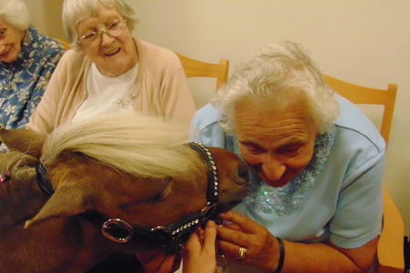 Pony therapy brings joy to residents