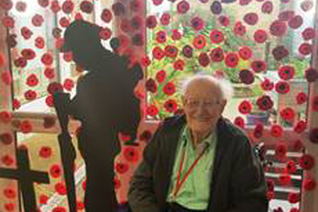 Hand knitted poppies on display