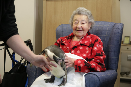 Penguin visit makes wish come true 