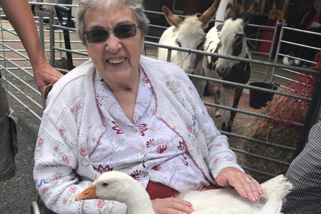 Farm animals visit military home