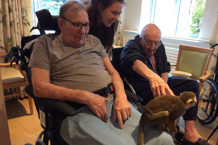 Care home residents monkey around