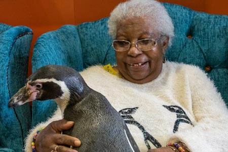 Penguins visit Banbury home