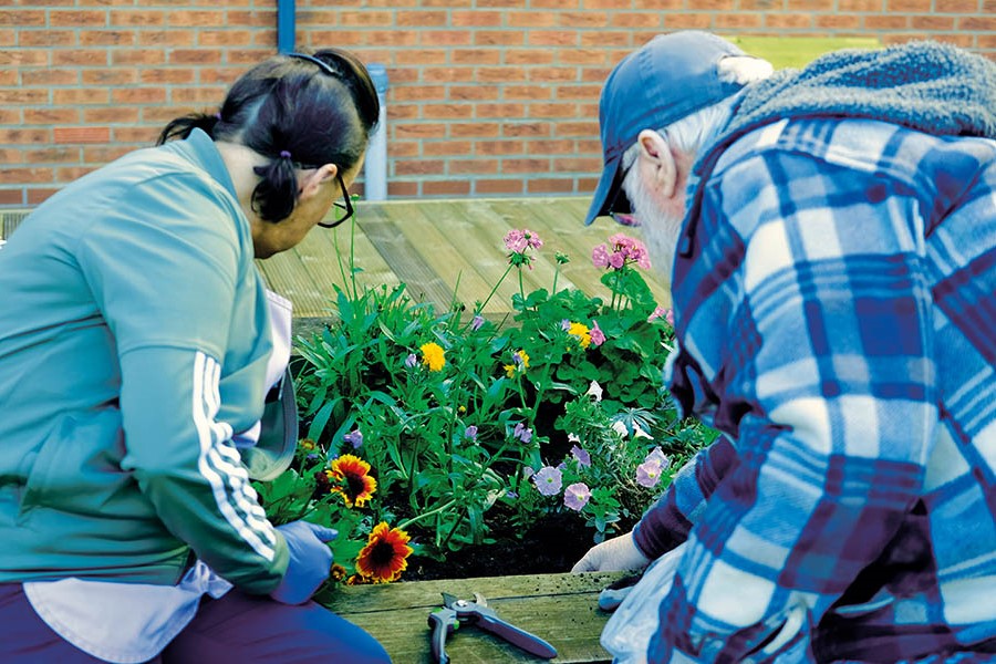 Dementia: making a difference  through reconnection