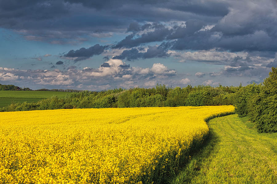 Development in the green belt