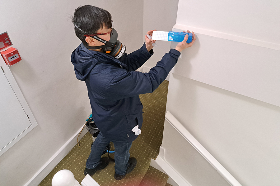 Why pest control should be a top priority in your home